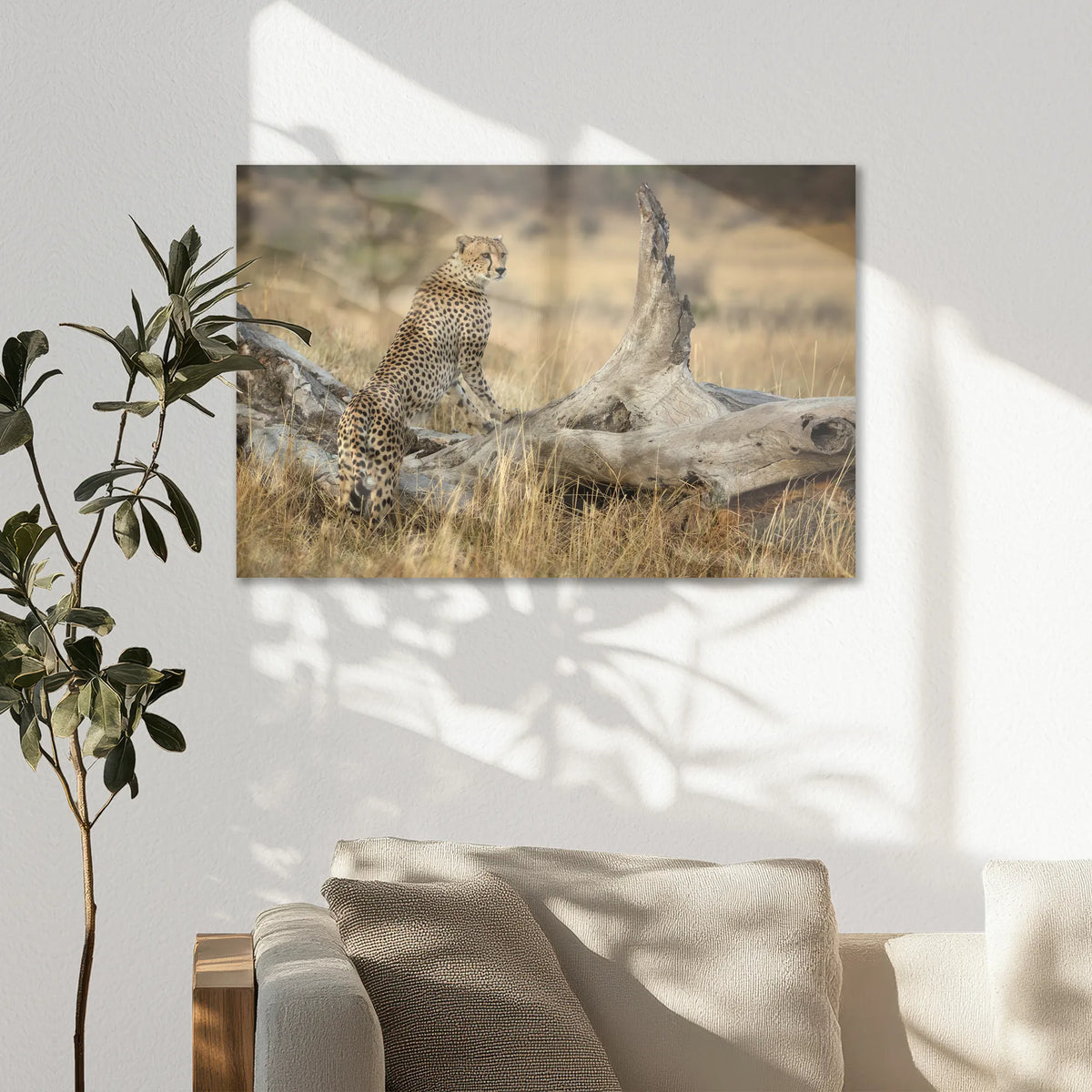 AL-075W050