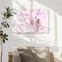 AC-030W020