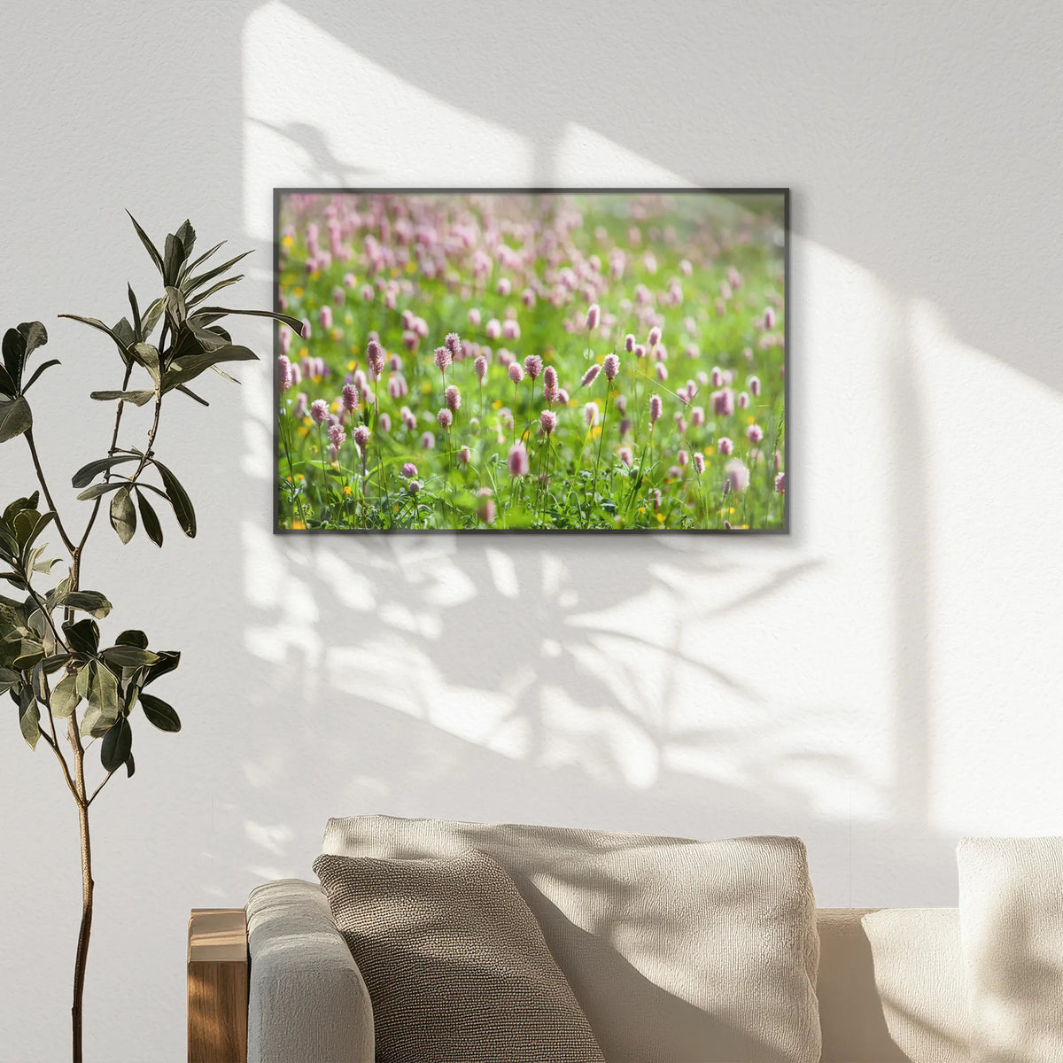 PB-093W062