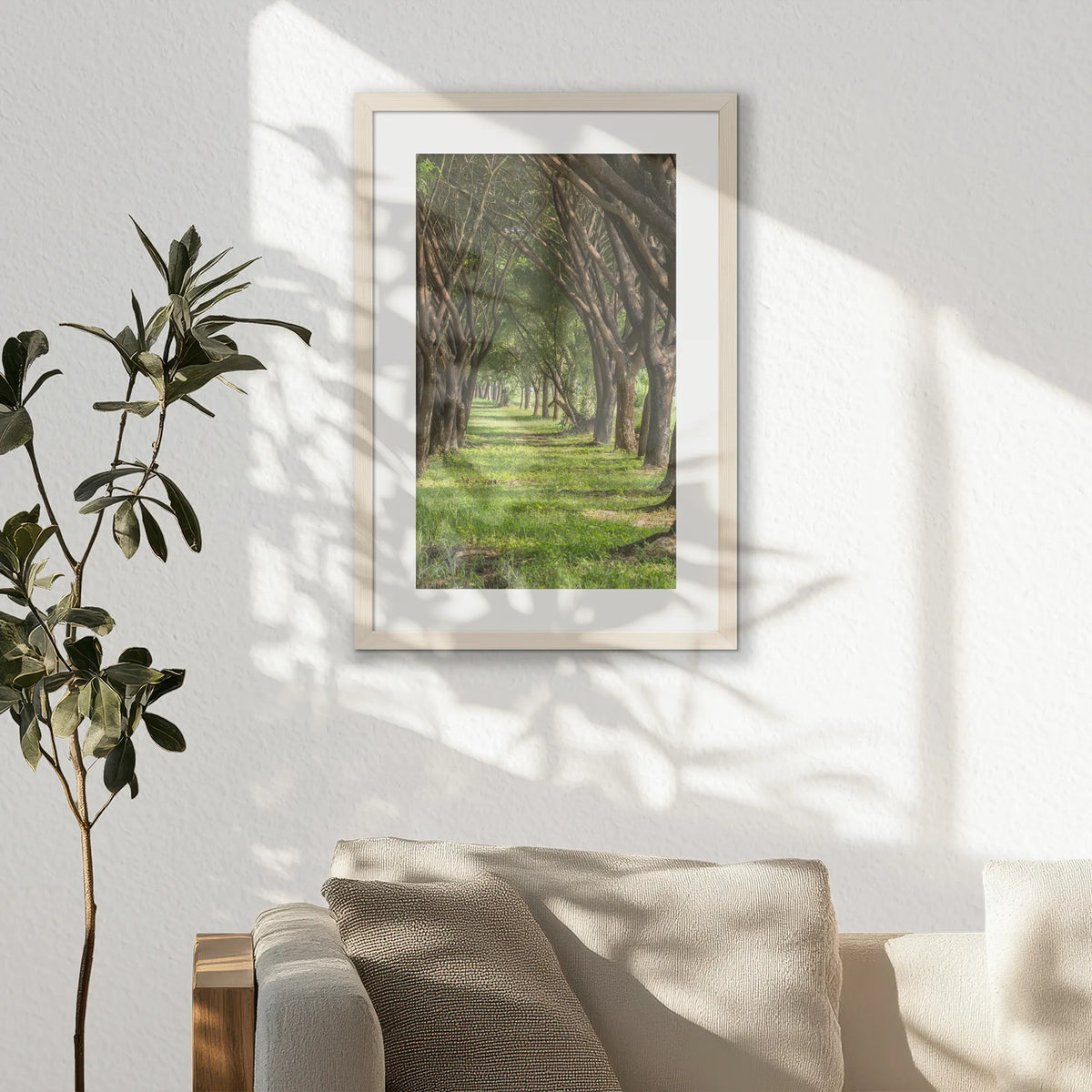 PNP040W060