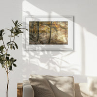 PWP060W040