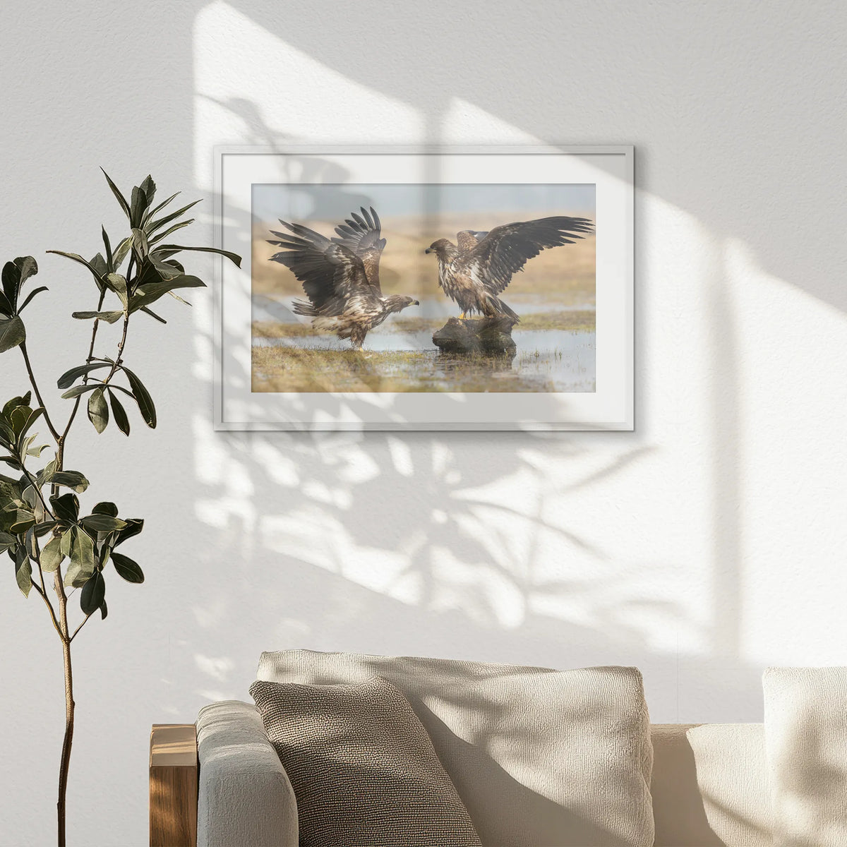 PWP093W062