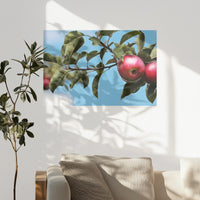 PO-075W050