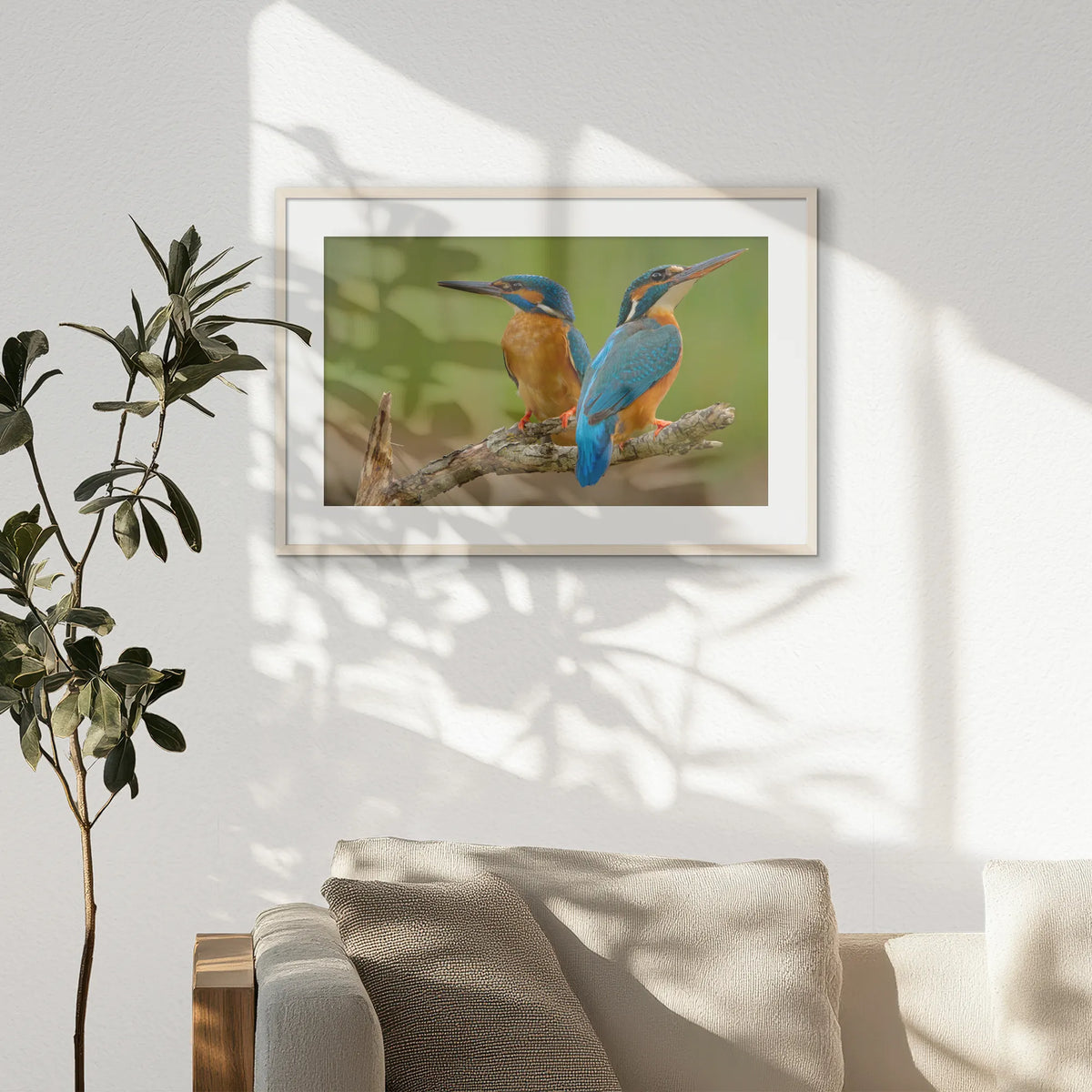PNP093W062
