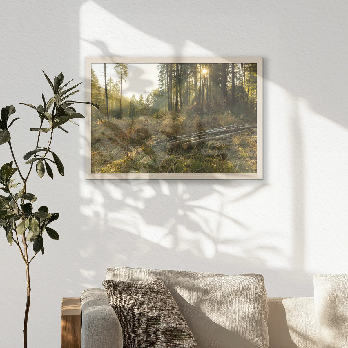 PN-060W040