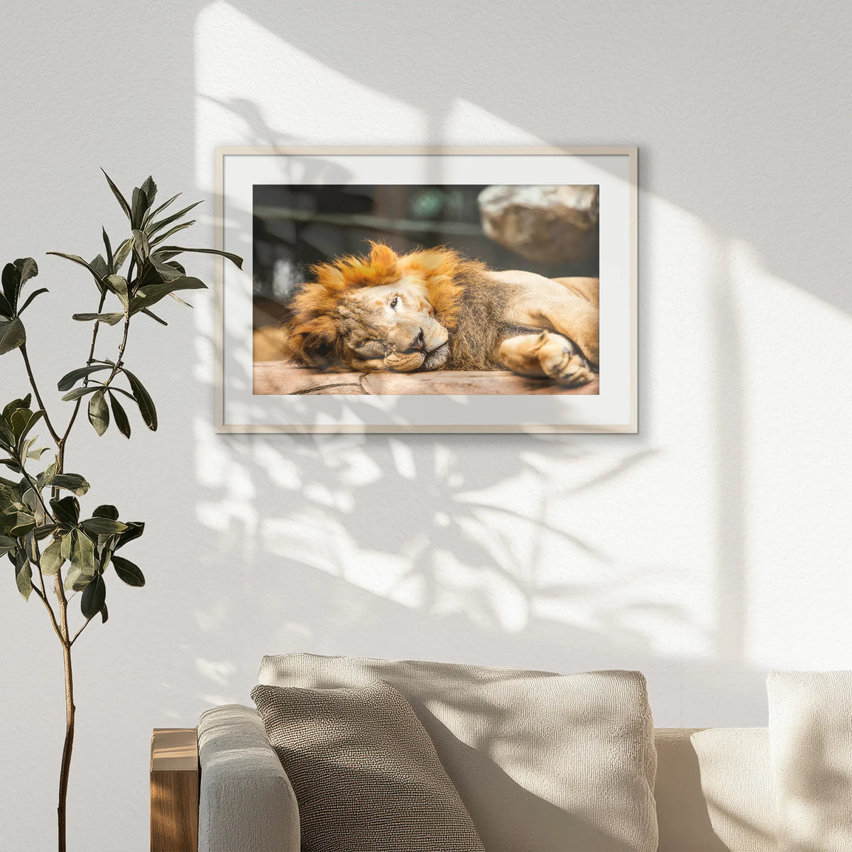 PNP093W062