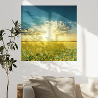 PO-080W080