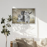 LWW100W070