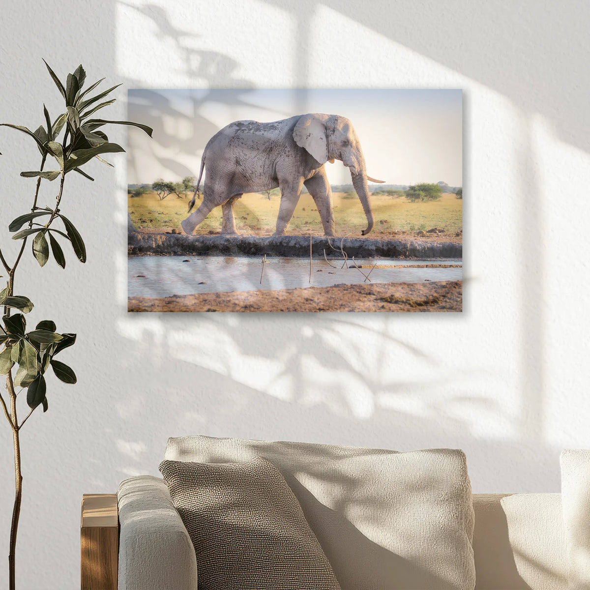 AL-030W020