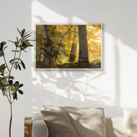 PN-093W062