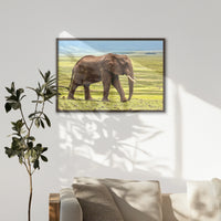 LWN100W070