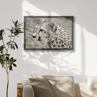 LWB060W040