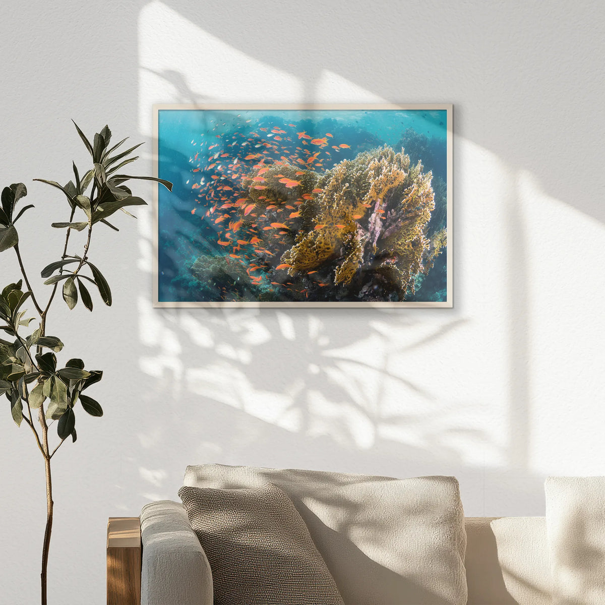 PN-093W062