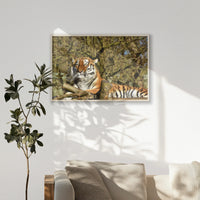 PN-100W070