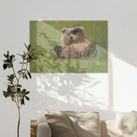 AL-120W080
