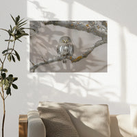 PO-045W030