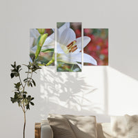AC-180T120