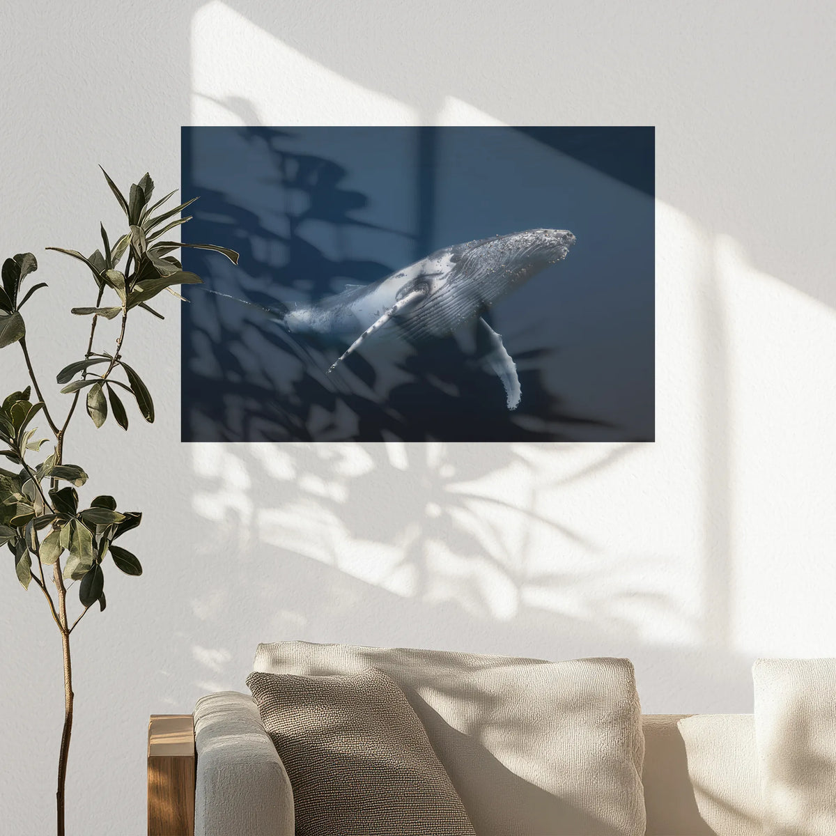 PO-075W050