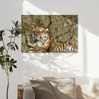 AC-075W050