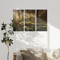 AL-120R080