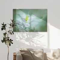 LW-120W080