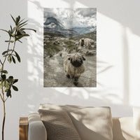 PO-040W060