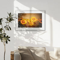 PSP060W040