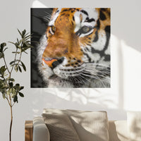 PO-090W090