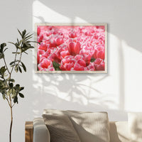 PN-060W040