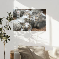 PO-090W060