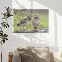 PO-045W030