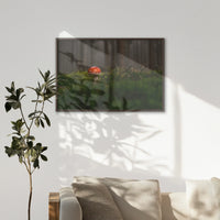 LWN100W070