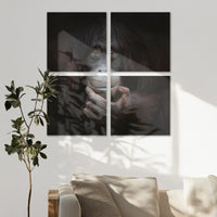 AC-120V120