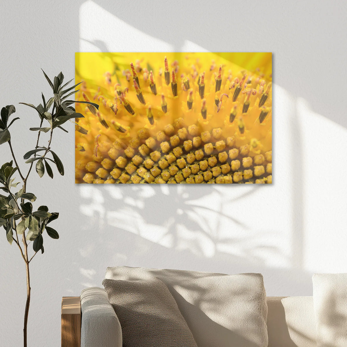 AC-075W050