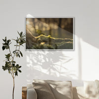 LWW100W070