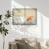 PB-093W062