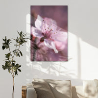 AL-080W120