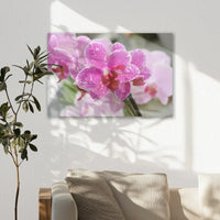 AL-060W040