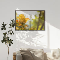 LWN100W070