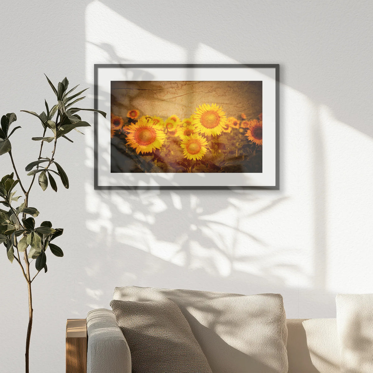 PKP093W062