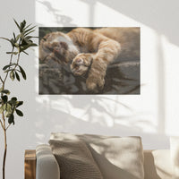 PO-030W020
