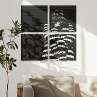 AC-080V080