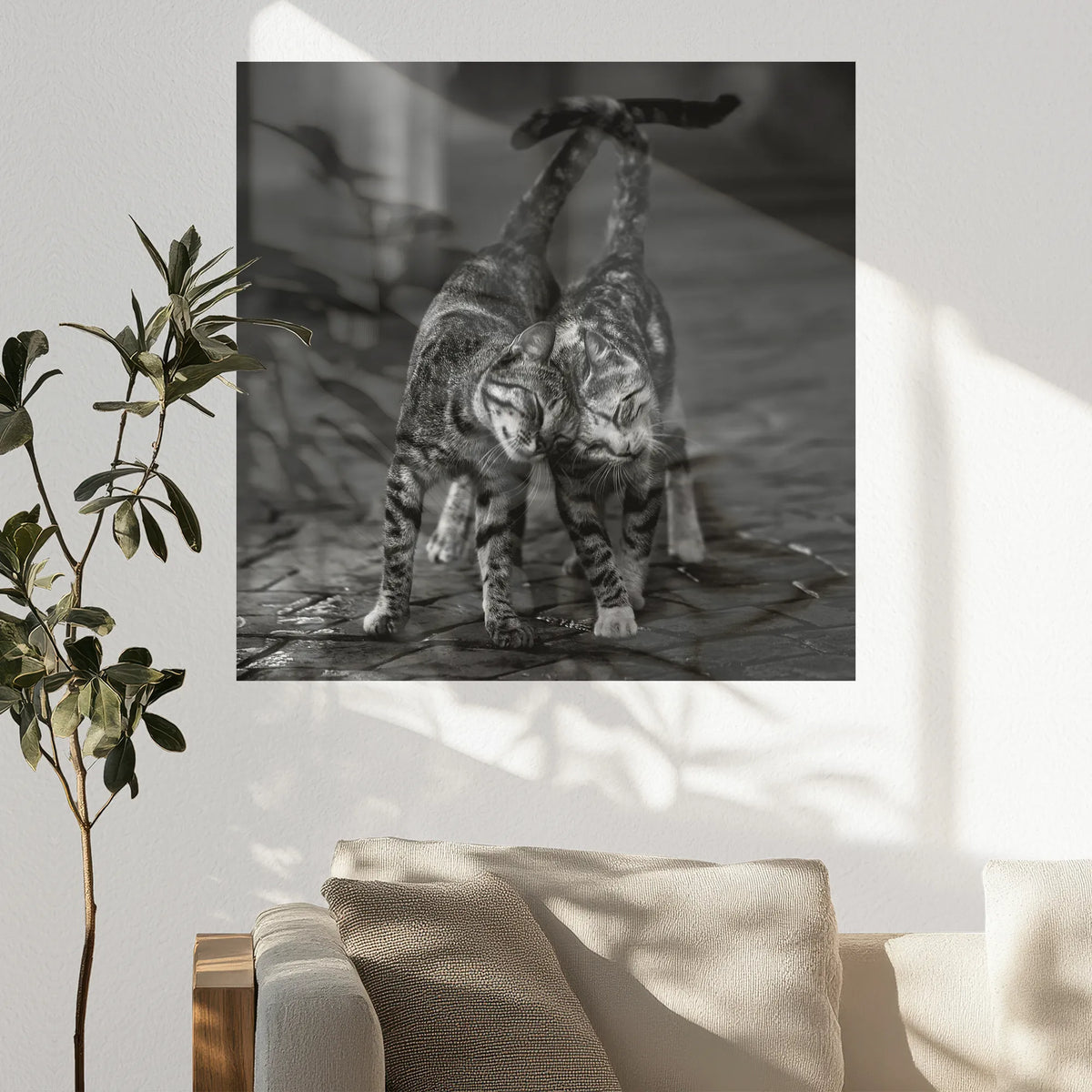 PO-070W070