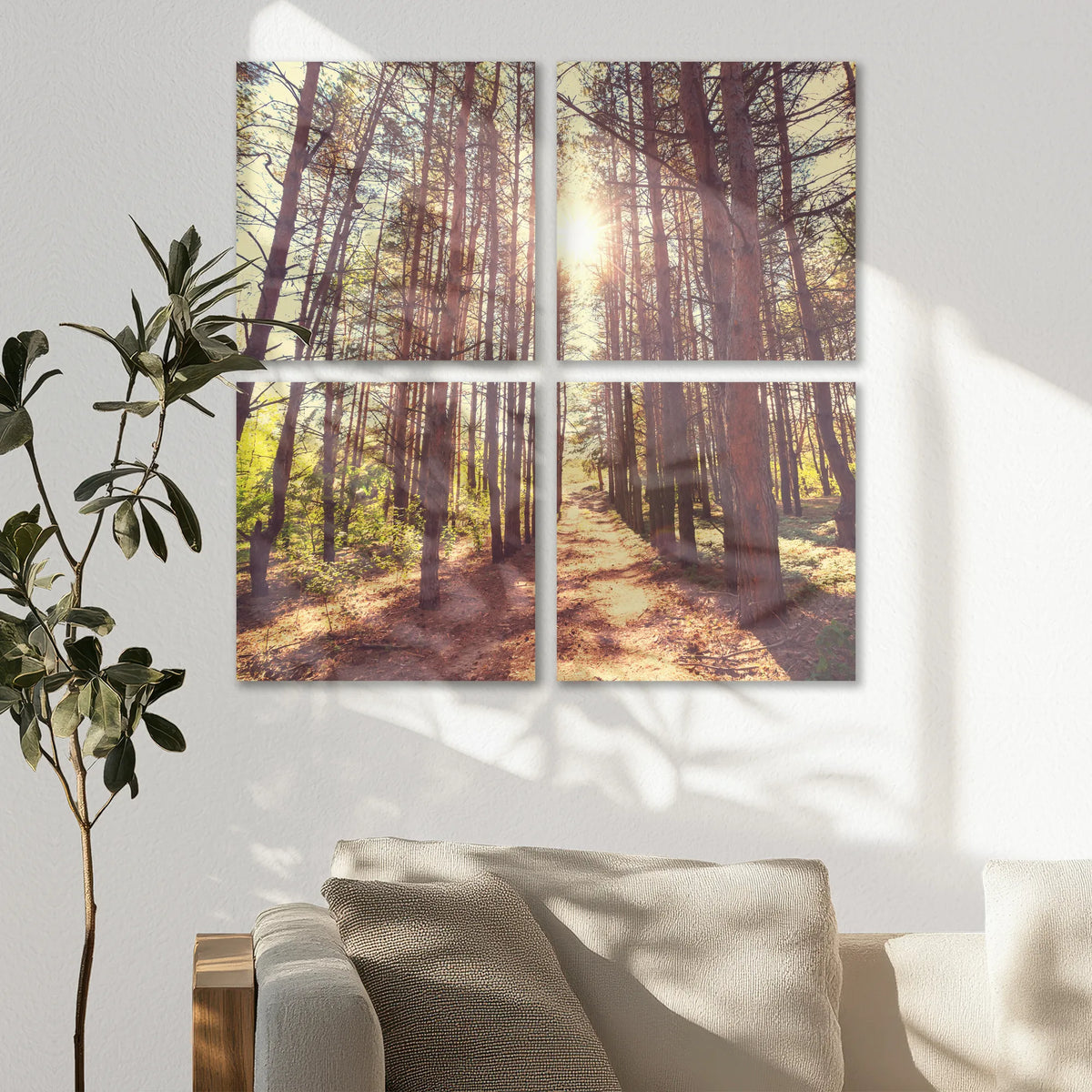 AC-080V080