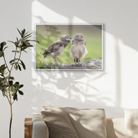 PW-093W062