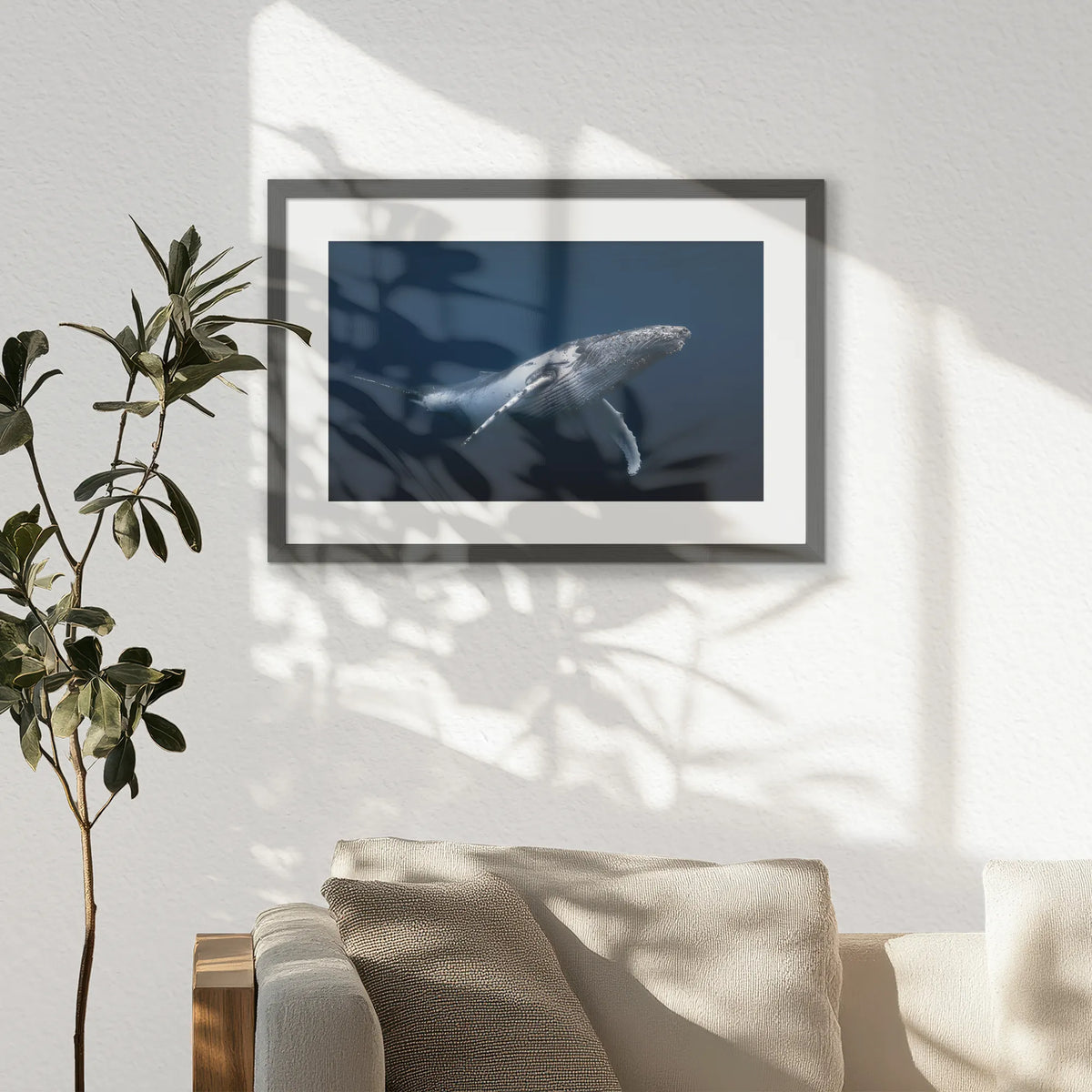 PKP060W040