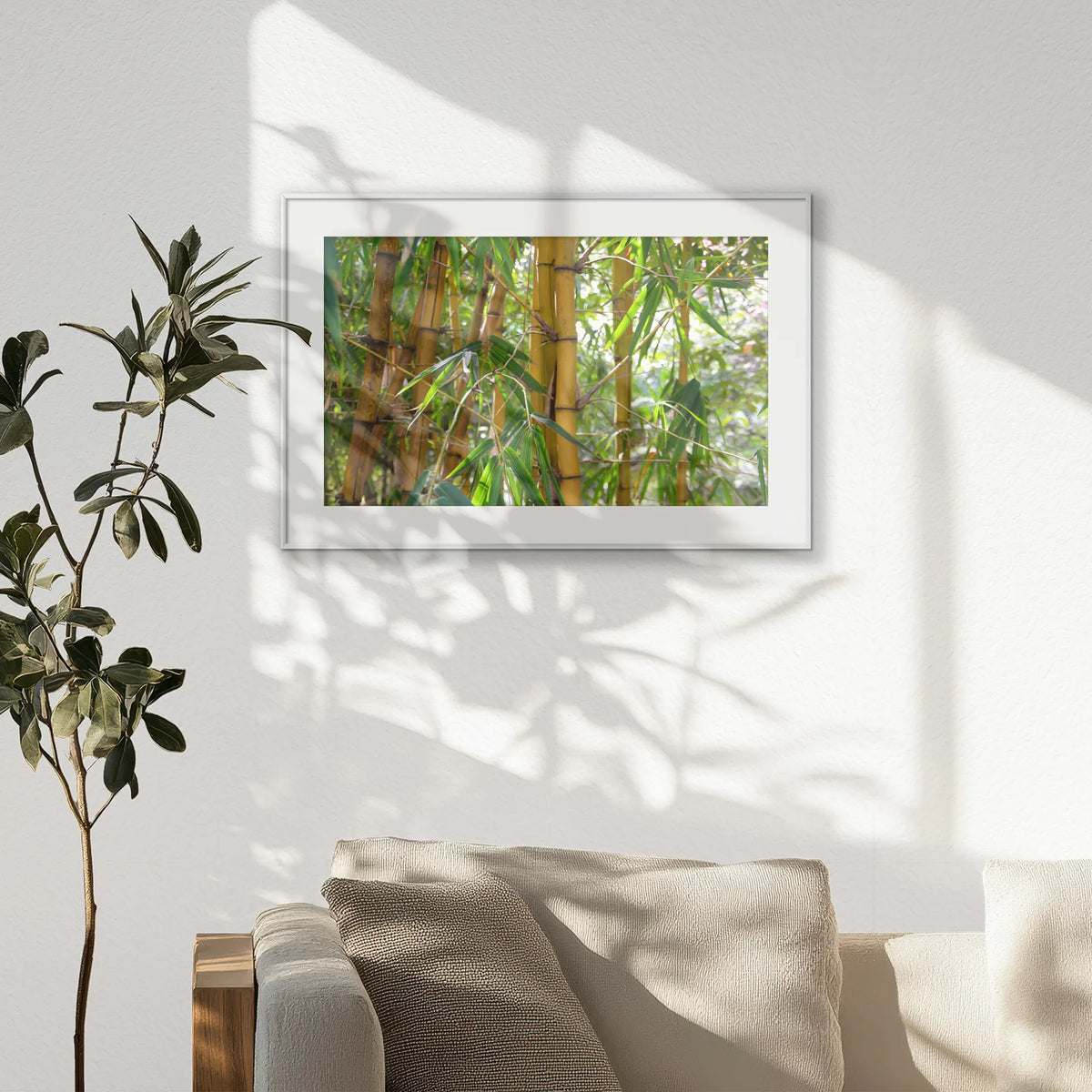 PSP093W062