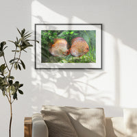 PBP060W040