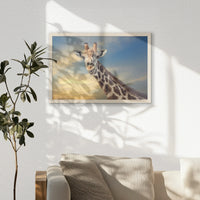 PN-060W040