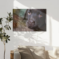 AC-075W050